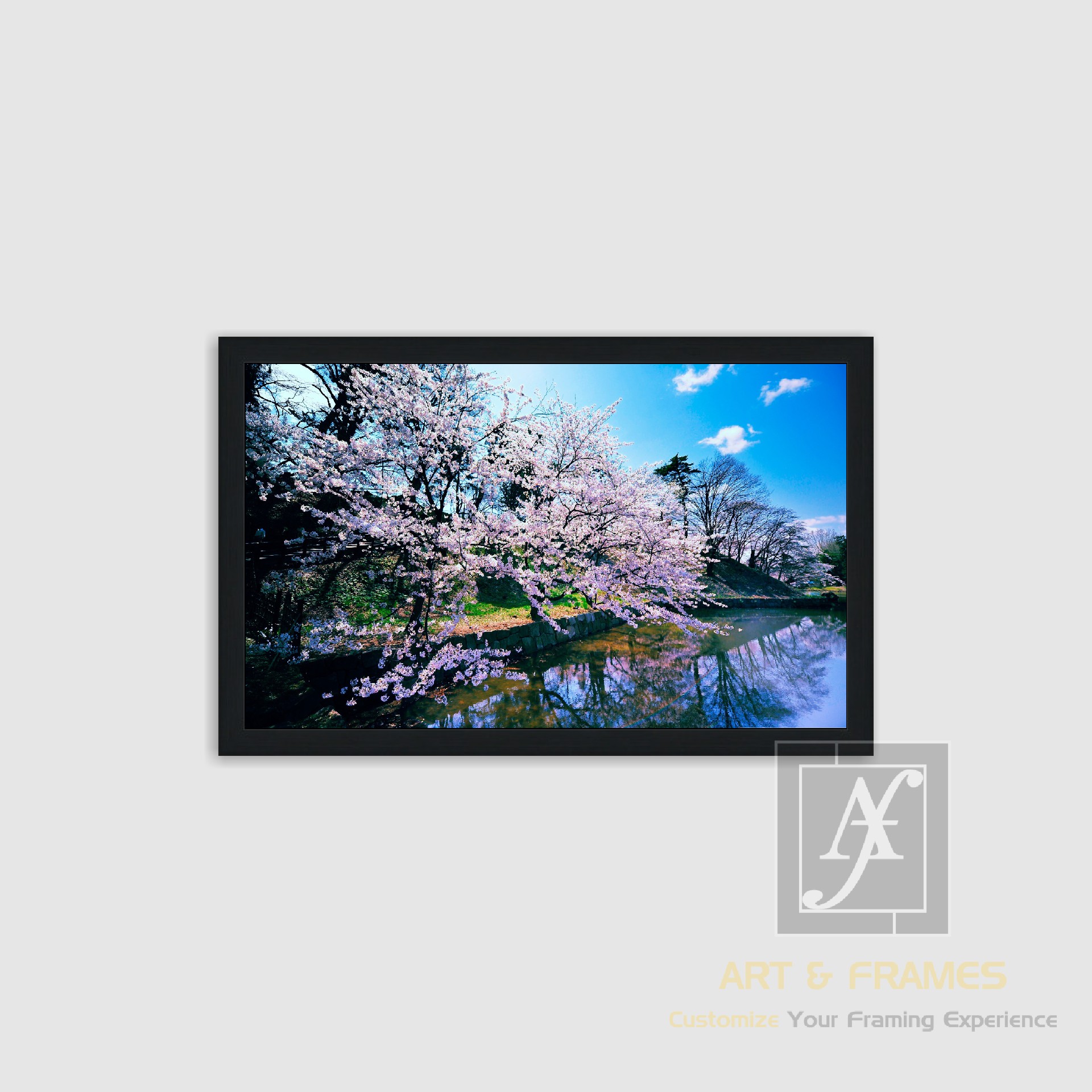 NATURE SPRING SEASON COLLECTION (8)