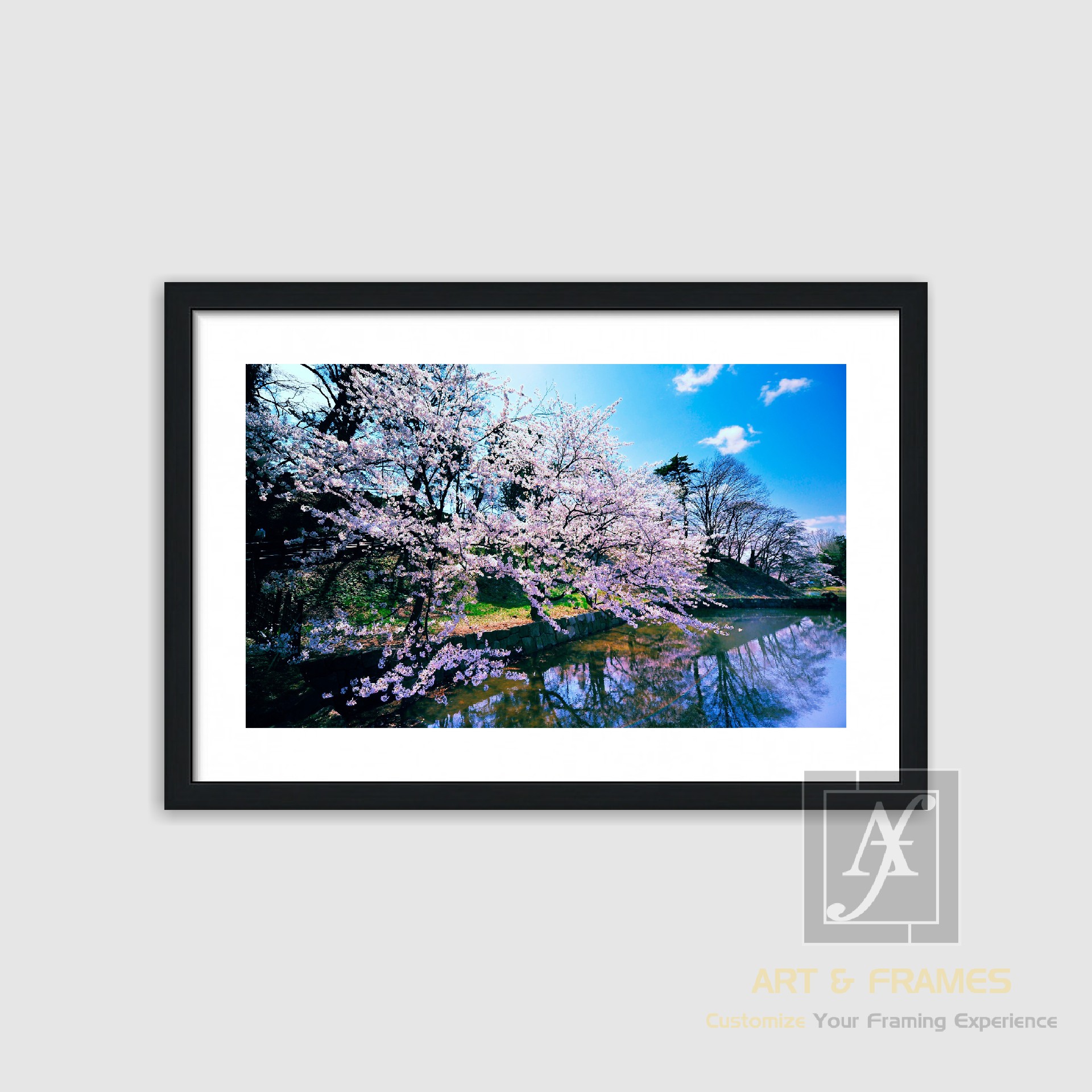 NATURE SPRING SEASON COLLECTION (8)