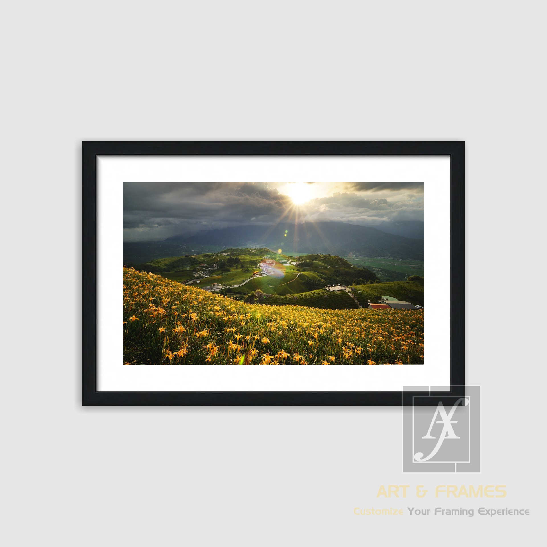 NATURE SUMMER SEASON COLLECTION (4)