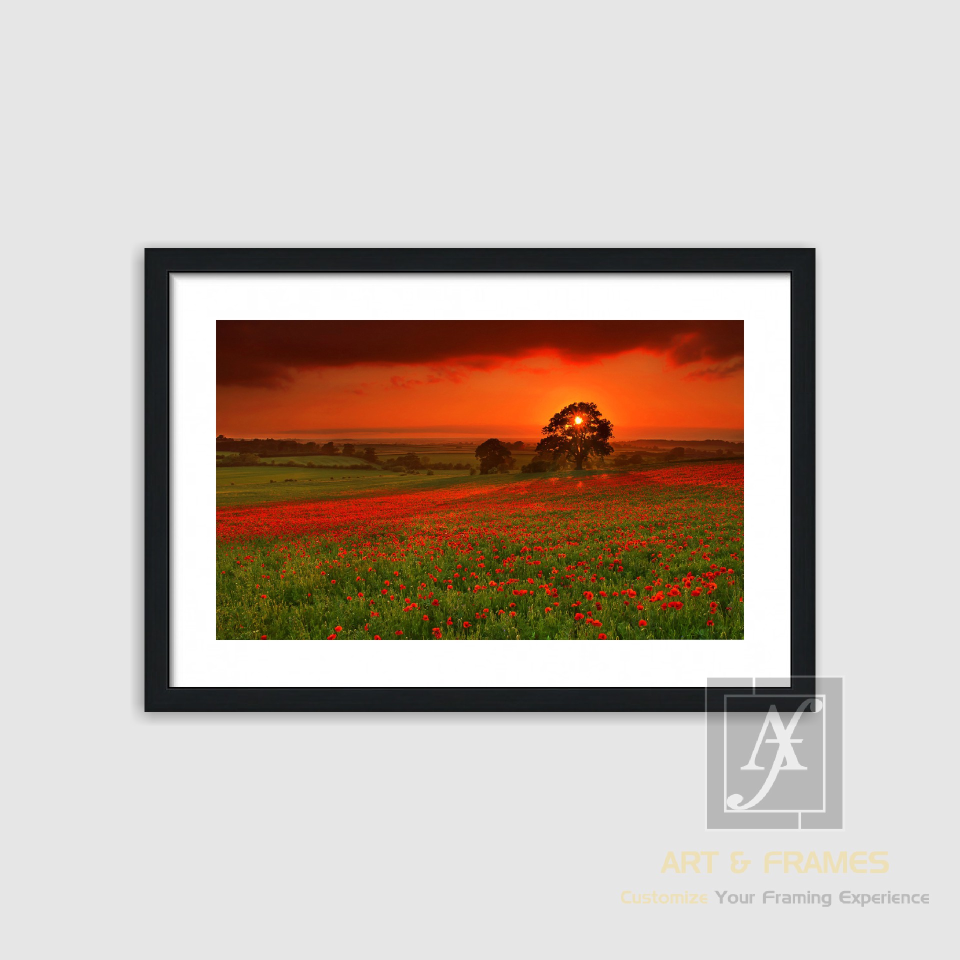 NATURE SUMMER SEASON COLLECTION (5)