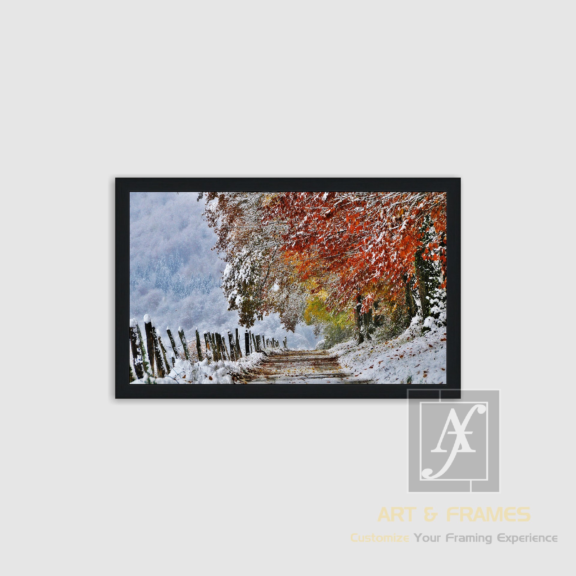 NATURE WINTER SEASON COLLECTION (19)